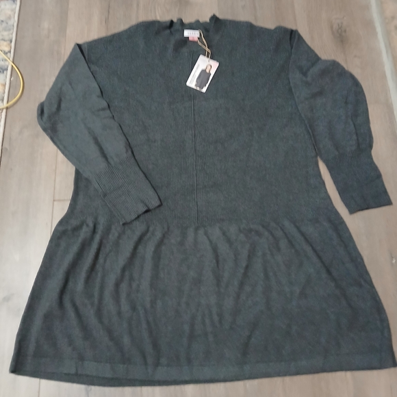 Serra Dresses & Skirts - Serra Womens XL Sage Green Sweater Dress BRAND NEW